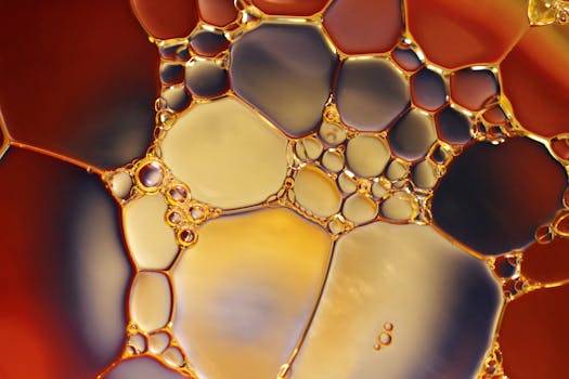 infographic of marinade chemistry
